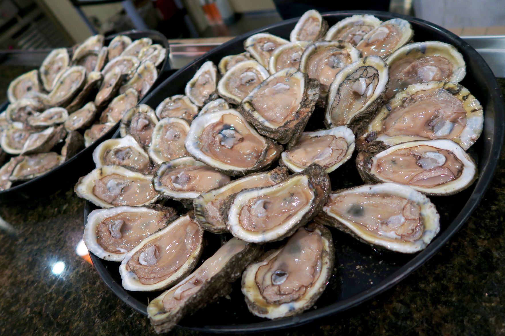 meme oysters.jpg
